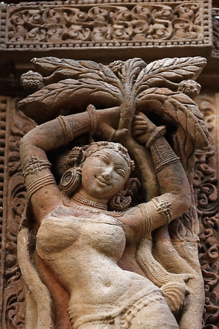 Bhubaneswar-Rajarani temple-047